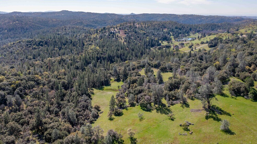 More Photos Of 18800 Charleston Rd, Volcano Land For Sale