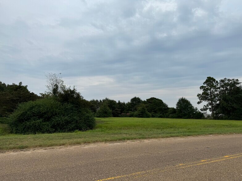Primary Photo Of 1917 W Main St, Atlanta Land For Sale