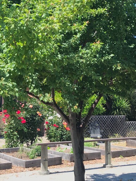 More Photos Of 75 Fremont Dr, Sonoma Storefront Retail Residential For Sale