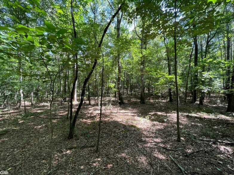 More Photos Of 0 Highway 83 North, Jefferson Land For Sale