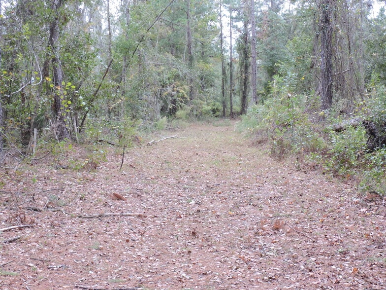 More Photos Of 3750A County Road 315A, Green Cove Springs Land For Sale