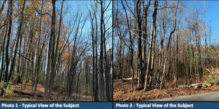 More Photos Of 137 South St, Auburn Land For Sale