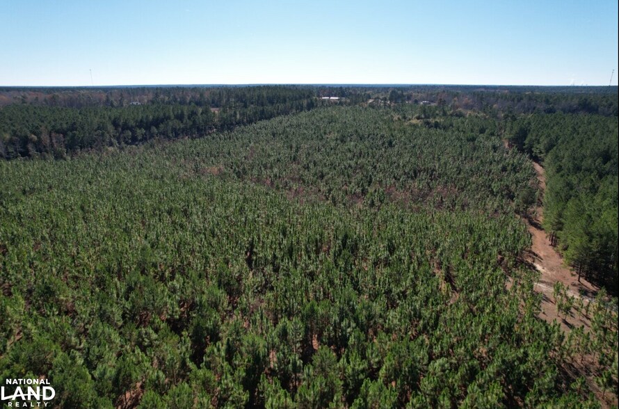 0 Mt Beulah Rd, Windsor, SC 29856 Land For Sale