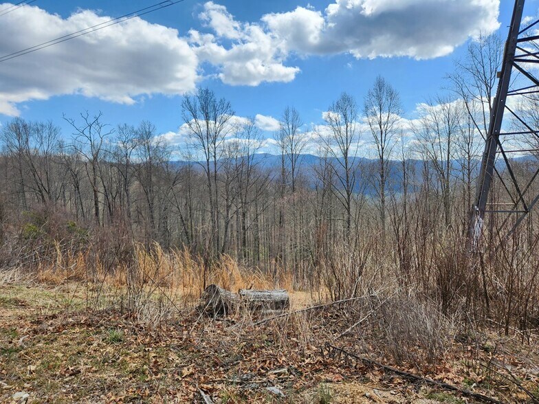 More Photos Of 00 Camp Branch Rd, Topton Land For Sale