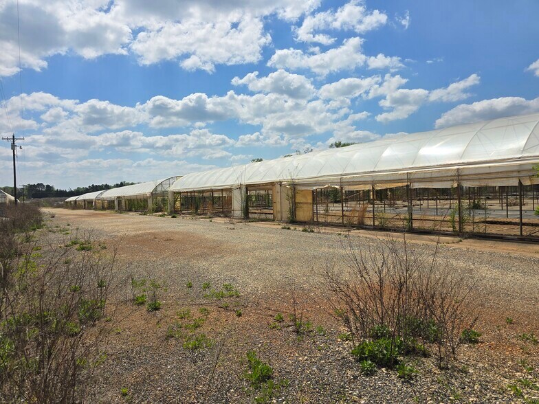 More Photos Of 11888 County Road 345, Winona Land For Sale