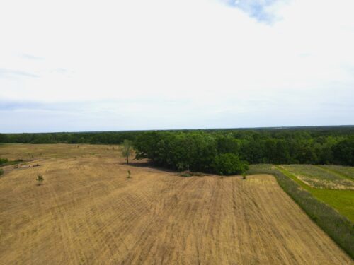 More Photos Of Lester Seals Rd, Lumberton Land For Sale