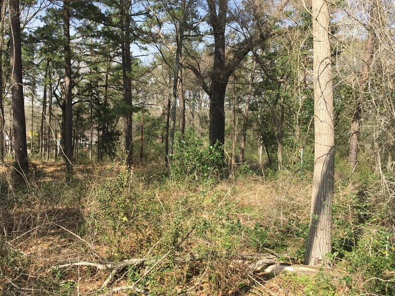 More Photos Of 806 S Commerce St, Overton Land For Sale