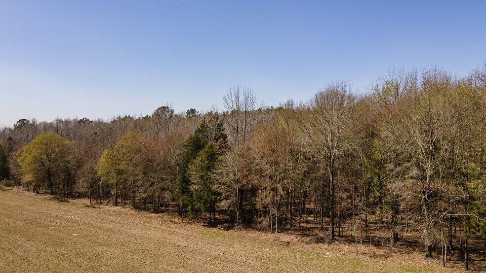 More Photos Of 16558 State Highway 155, Tyler Land For Sale