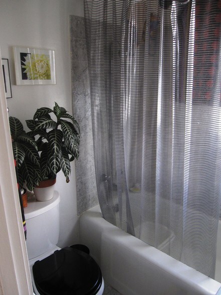 More Photos Of 1734 Spruce St, Berkeley Apartments For Sale