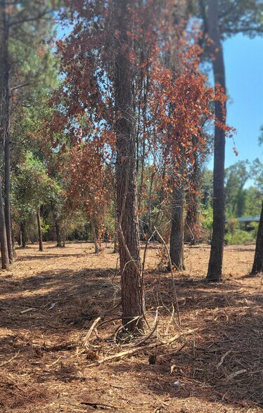 Primary Photo Of Crawfordville Highway, Crawfordville Land For Sale