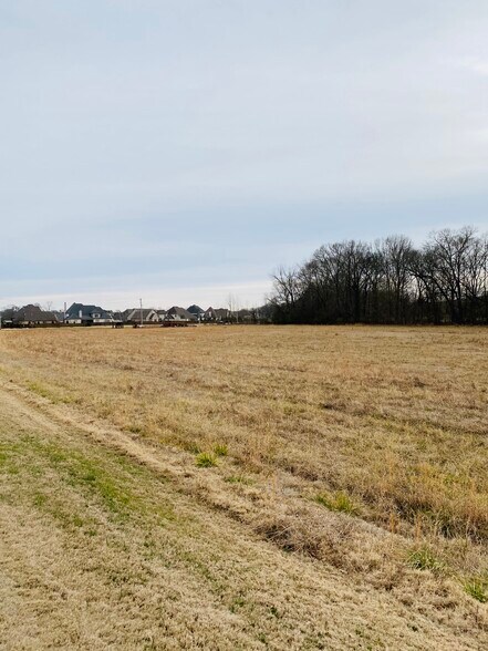 Primary Photo Of Wolf River @ Bray Station, Memphis Land For Sale