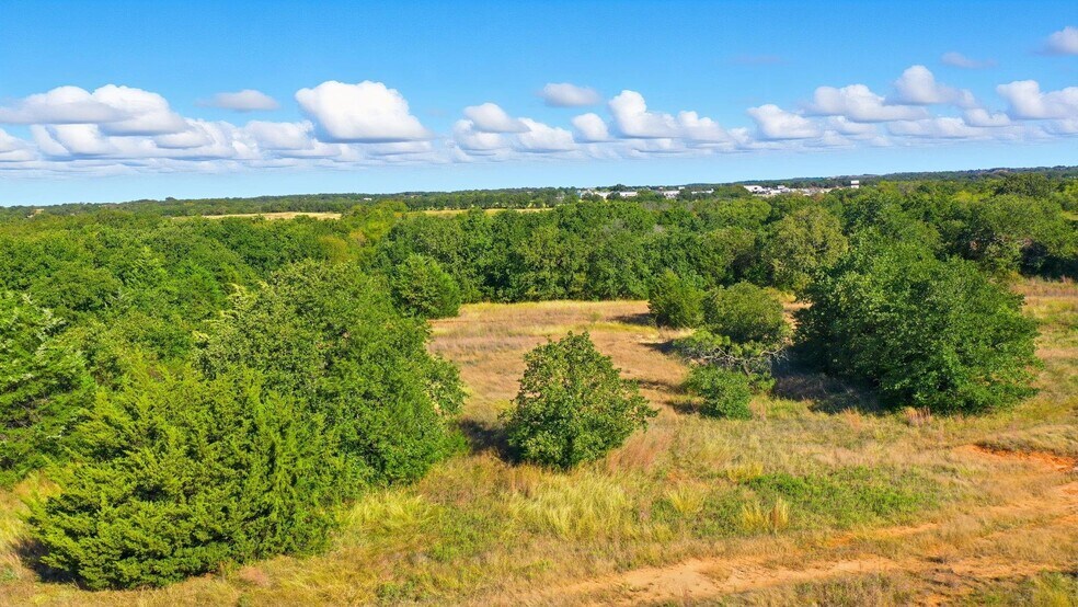 More Photos Of 0 N Hwy 287 B hwy, Decatur Land For Sale