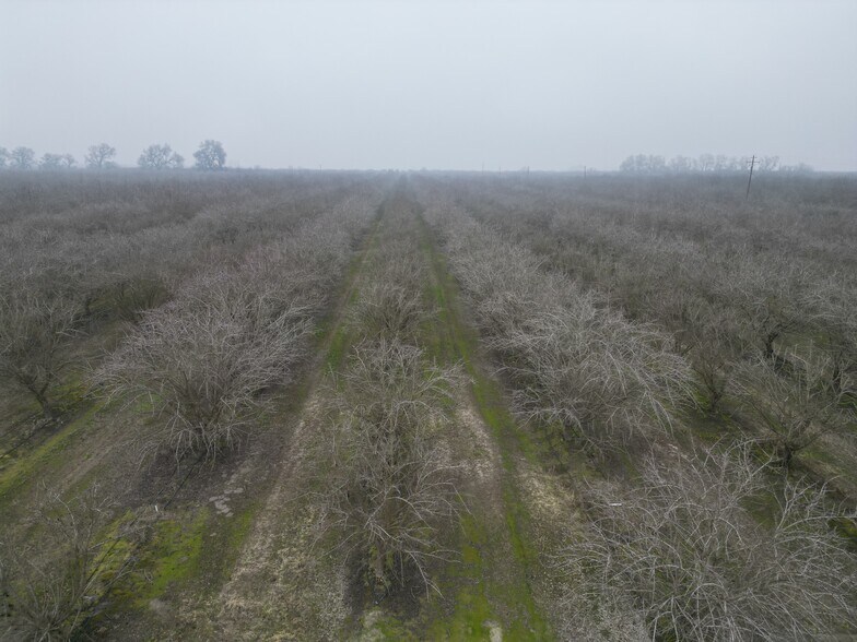 More Photos Of 8350 17 1/2 Avenue, Lemoore Land For Sale