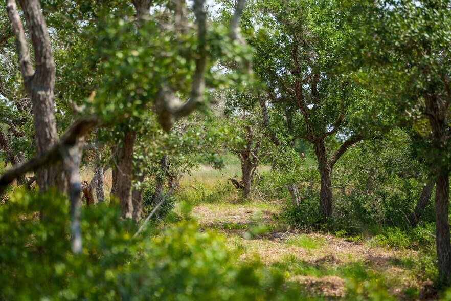 More Photos Of 704 South Highway 35 Byp, Rockport Land For Sale