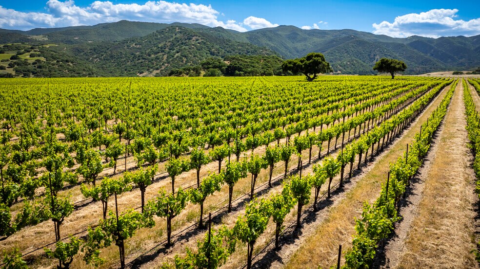 More Photos Of 35422 Paraiso Springs Rd, Soledad Land For Sale