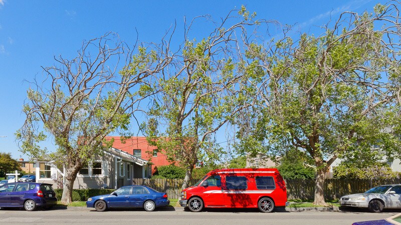 More Photos Of 2931 MacDonald Ave, Richmond Office Residential For Sale