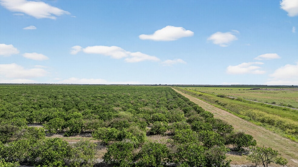 More Photos Of 8476 Ten Mile Grade, Zolfo Springs Land For Sale