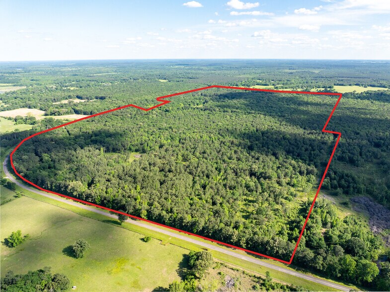 More Photos Of 17631 Farm Road 1159, Clarksville Land For Sale