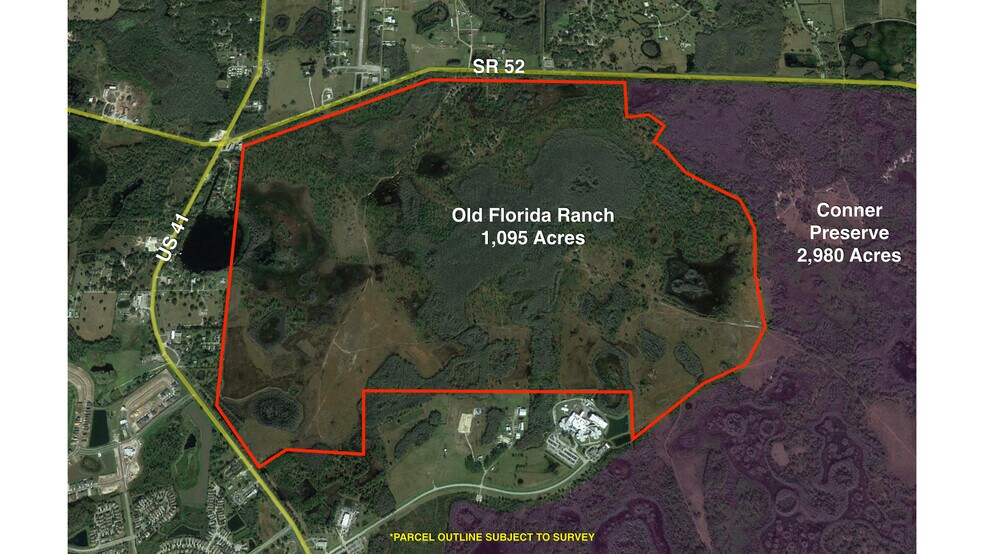 More Photos Of 19858 State Road 52, Land O' Lakes Land For Sale