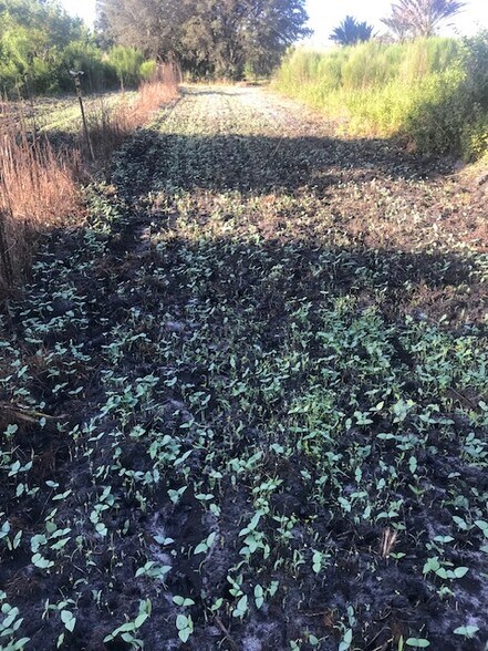 More Photos Of Redlands Dr, Deland Land For Sale