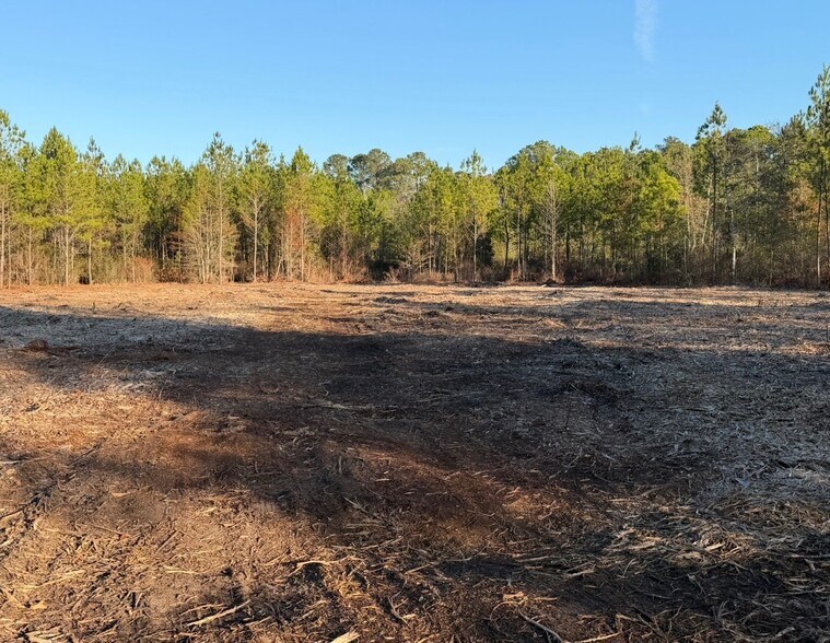 More Photos Of 319 - 547 Sisters Ferry Road, Ridgeland Land For Sale