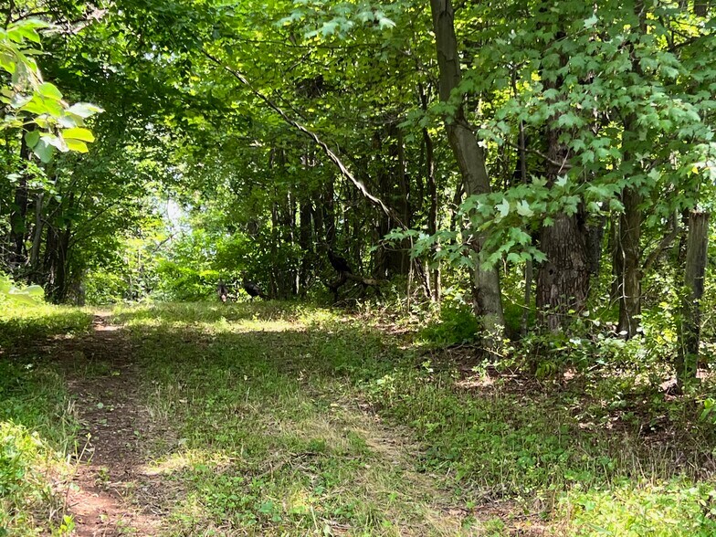 More Photos Of Route 18 Smith Township State Rd, Burgettstown Land For Sale