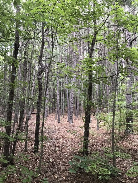 More Photos Of 103 Bailey Jester Rd, Griffin Land For Sale