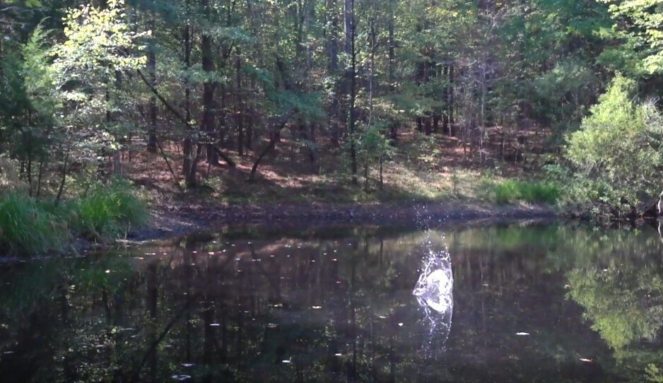 More Photos Of 138 Vaughn Rd, Charlotte Land For Sale