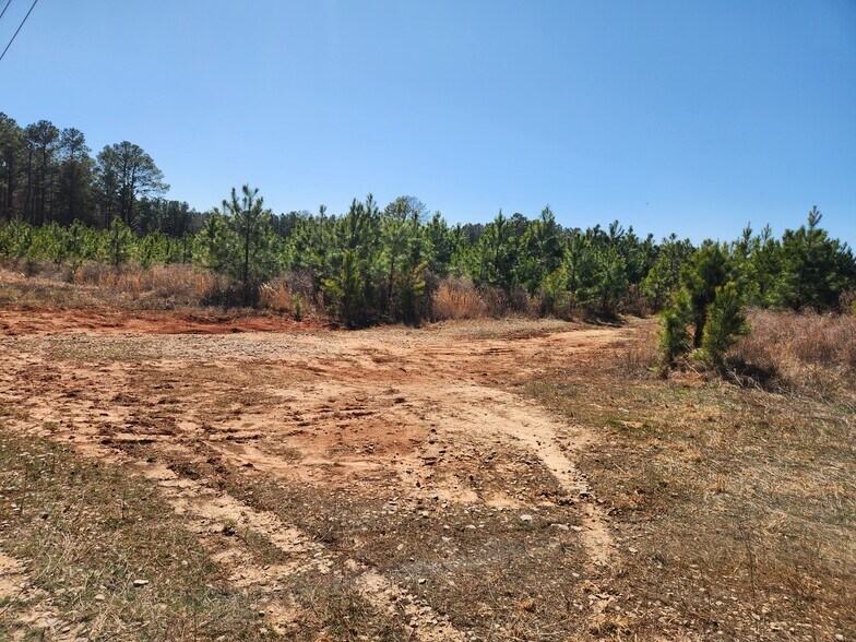 More Photos Of 3004 U.S. 401 Hwy, Louisburg Land For Sale
