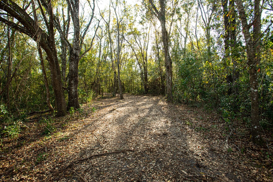 More Photos Of W DR MARTIN LUTHER KING JR blvd, Brooksville Land For Sale