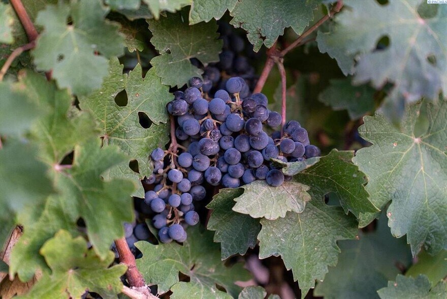 More Photos Of NKA Goose Ridge Estates, Richland Land For Sale