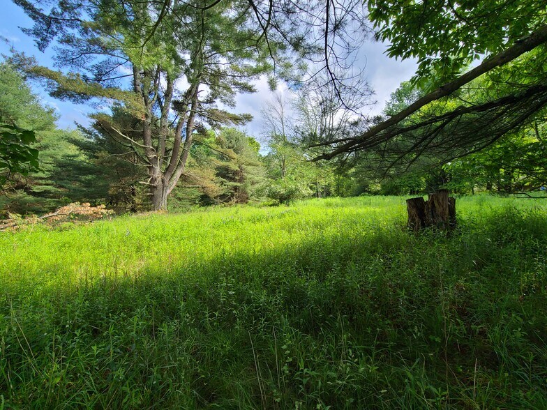 More Photos Of 1195 State Route 17B, Bethel Land For Sale