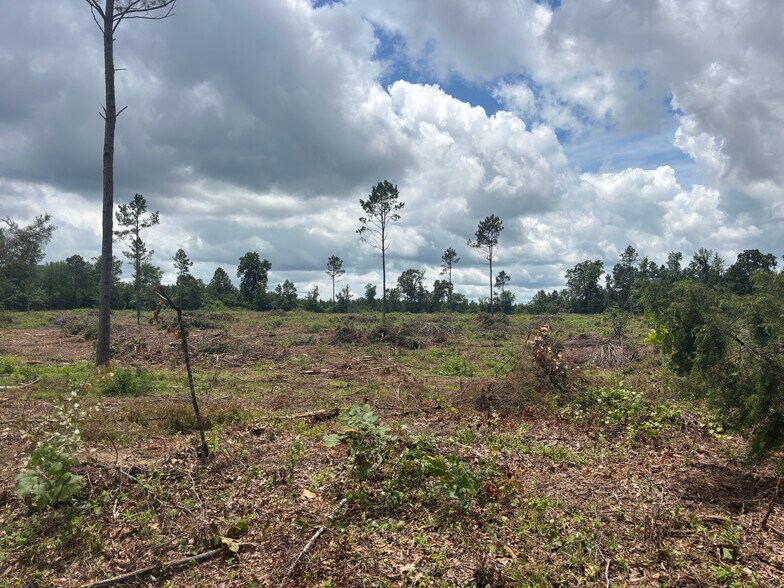 More Photos Of TBD CR 3665 Queen City Texas 20 Acres, Queen City Land For Sale