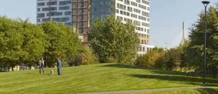 More Photos Of 20 Child St, Cambridge Apartments For Lease