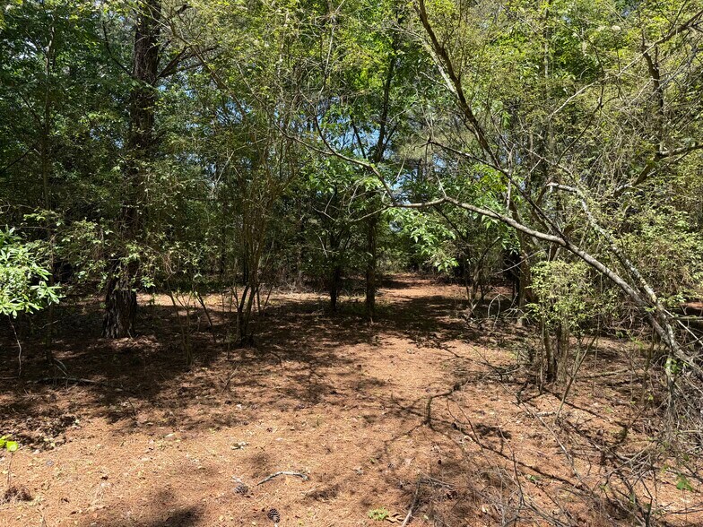 More Photos Of 1593 Old Alabama rd, Taylorsville Land For Sale