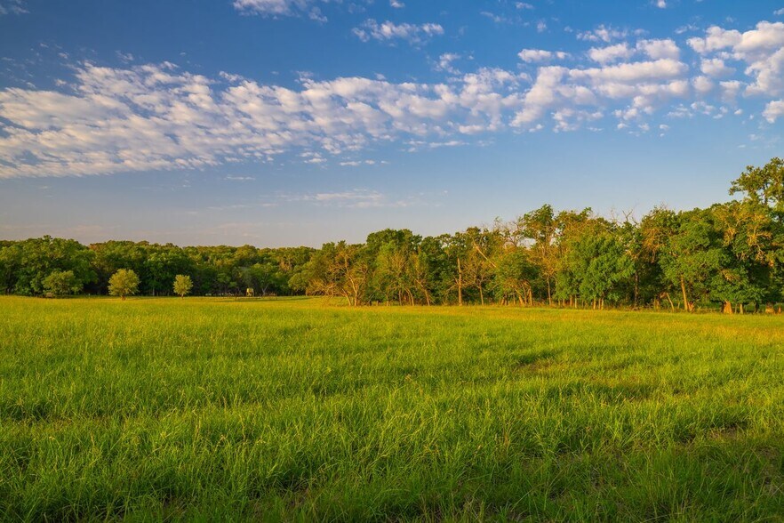 More Photos Of County Road 219, Briggs Land For Sale