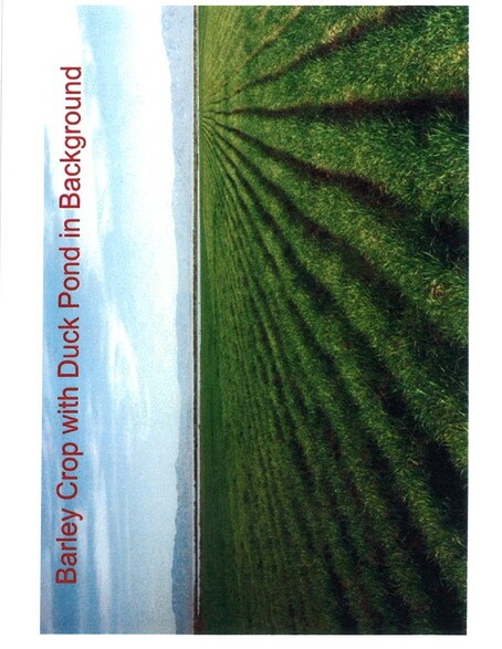 More Photos Of Hwy 111, Niland Land For Sale