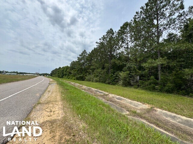 Primary Photo Of 0 Dead Lake Rd., Creola Land For Sale