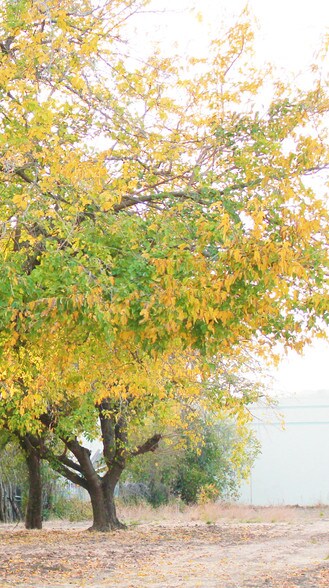 More Photos Of 848 Davis St, Vacaville Land For Lease