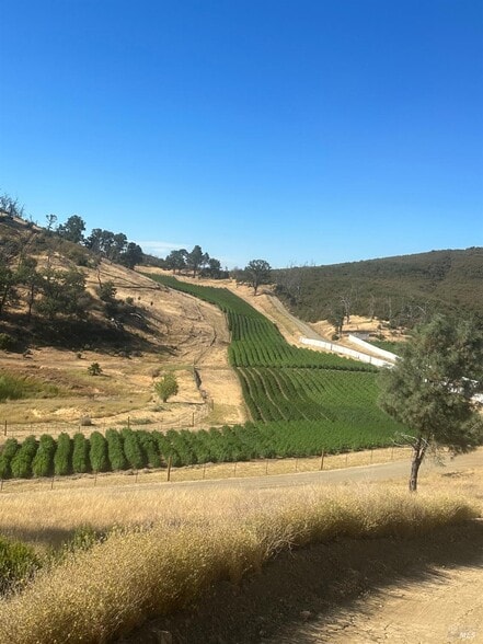 Primary Photo Of 21506 Morgan Valley Rd, Lower Lake Industrial For Sale