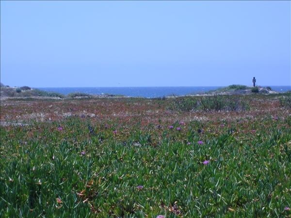 More Photos Of 2783 Coral Ave, Morro Bay Land For Sale