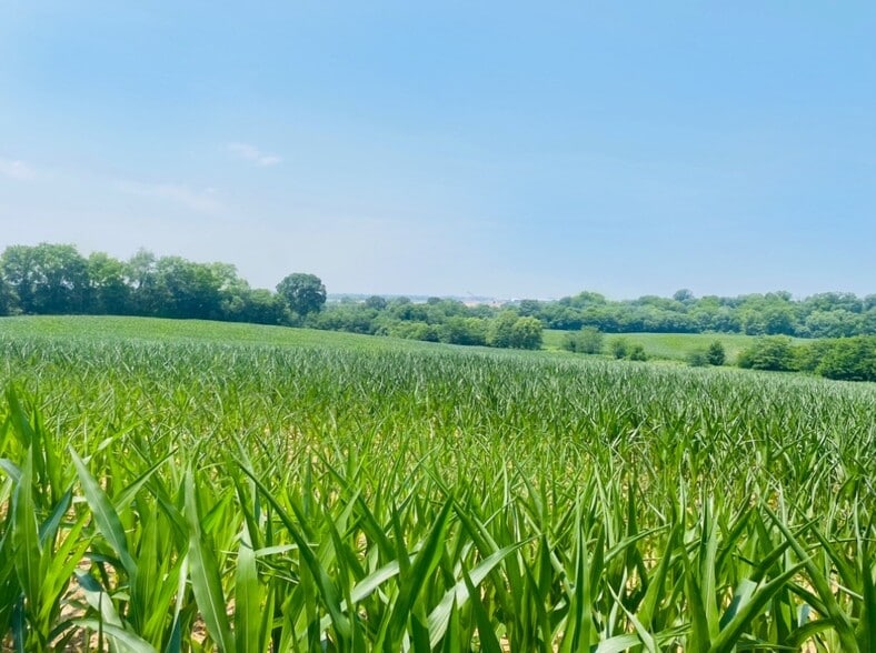 More Photos Of 530 Branham Mill Rd, Gallatin Land For Sale