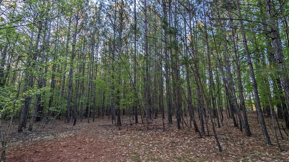 More Photos Of 0 Hathcock Road, College Park Land For Sale