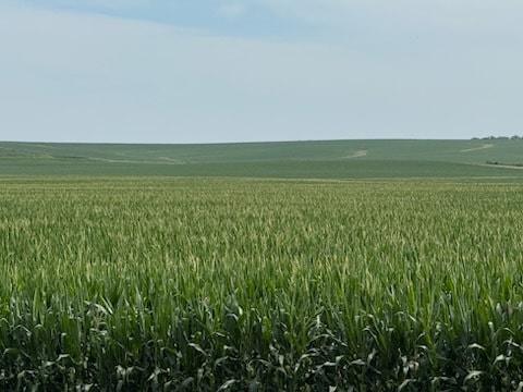 Primary Photo Of E 152nd S st @ S 84th Ave E, Lynnville Land For Sale