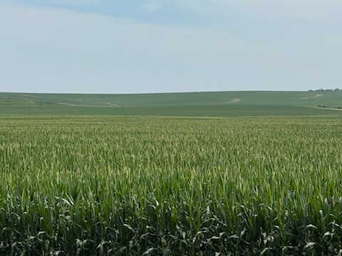 Primary Photo Of E 152nd S st @ S 84th Ave E, Lynnville Land For Sale