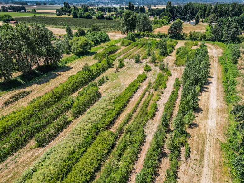 More Photos Of 1018 Caples Rd, Woodland Land For Sale