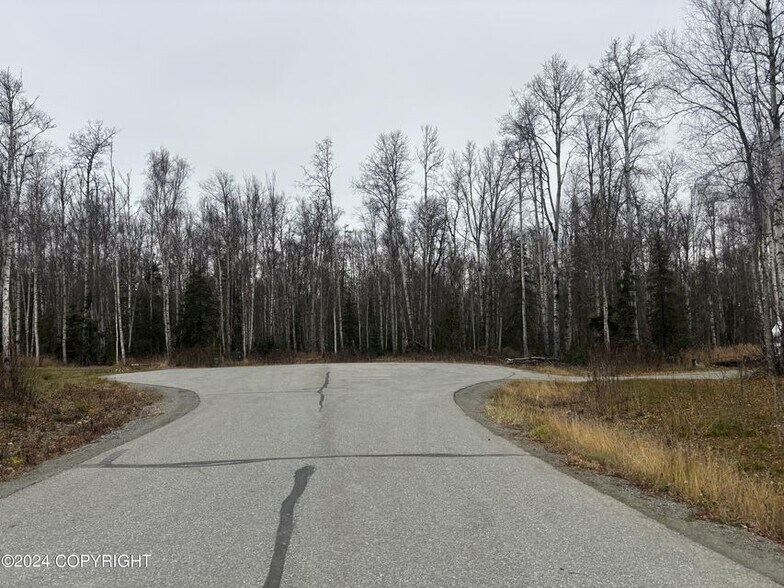 More Photos Of 6129 S Knik Goose Bay Rd, Wasilla Land For Sale
