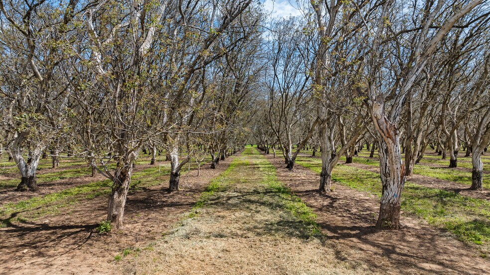 More Photos Of 2150 N Fine Road, Linden Land For Sale