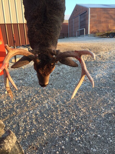 More Photos Of 762 Cave Farm Rd, Troy Land For Sale