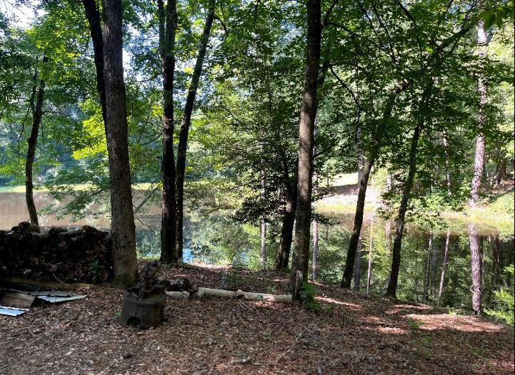 More Photos Of 17796 Dry Branch loop, Northport Land For Sale